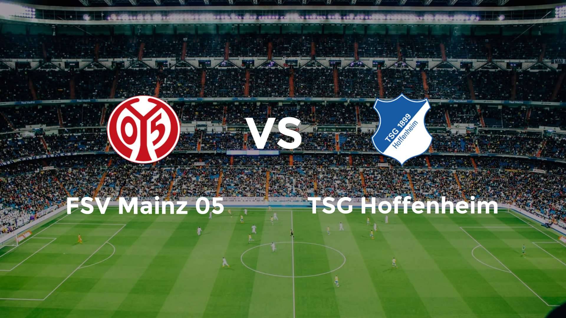 FSV Mainz 05 vs TSG Hoffenheim