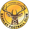 Logo Bashley