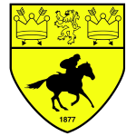 Logo Newmarket Town