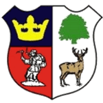 Logo Cinderford Town